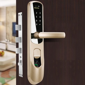 镜面智能指纹锁